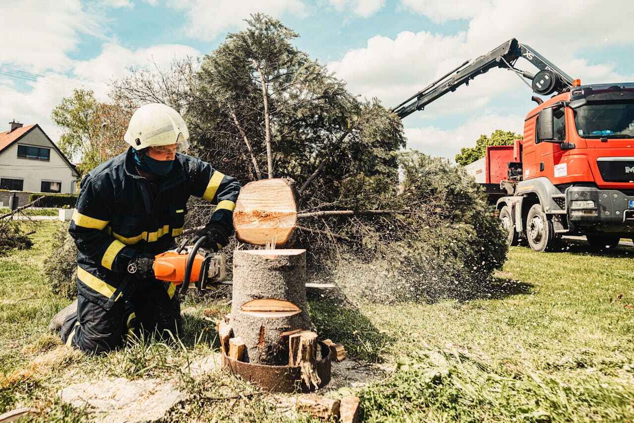 Residential Tree Removal in Brookside, NJ